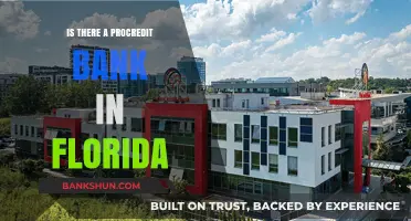 ProCredit Bank in Florida: Exploring Availability and Services in the State