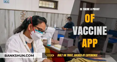 Exploring the Existence of a Proof of Vaccine App: Fact or Fiction?