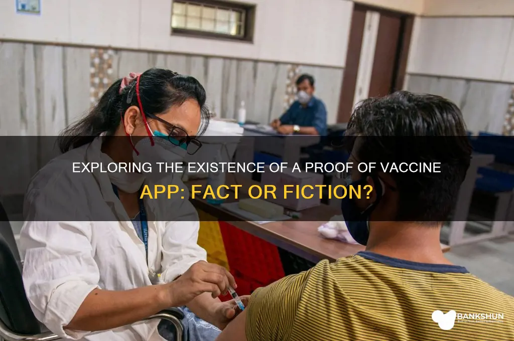 is there a proof of vaccine app