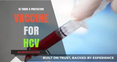 Exploring HCV: Is There a Protective Vaccine Available?