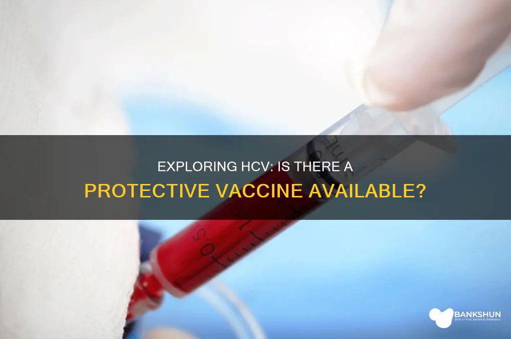 is there a protective vaccine for hcv