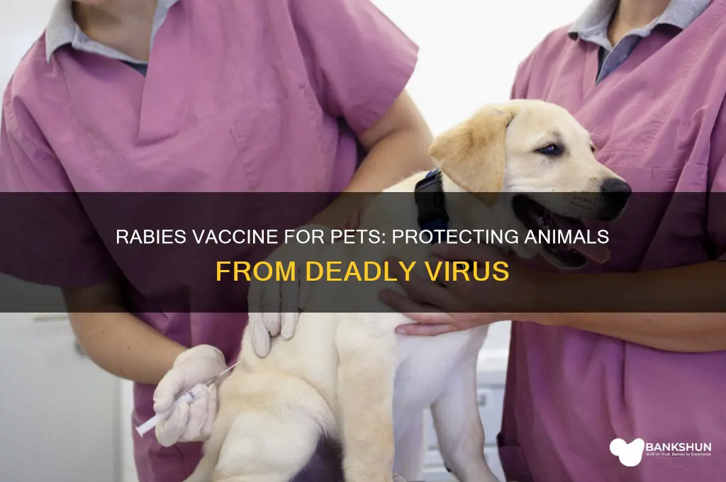 is there a rabies vaccine for animals