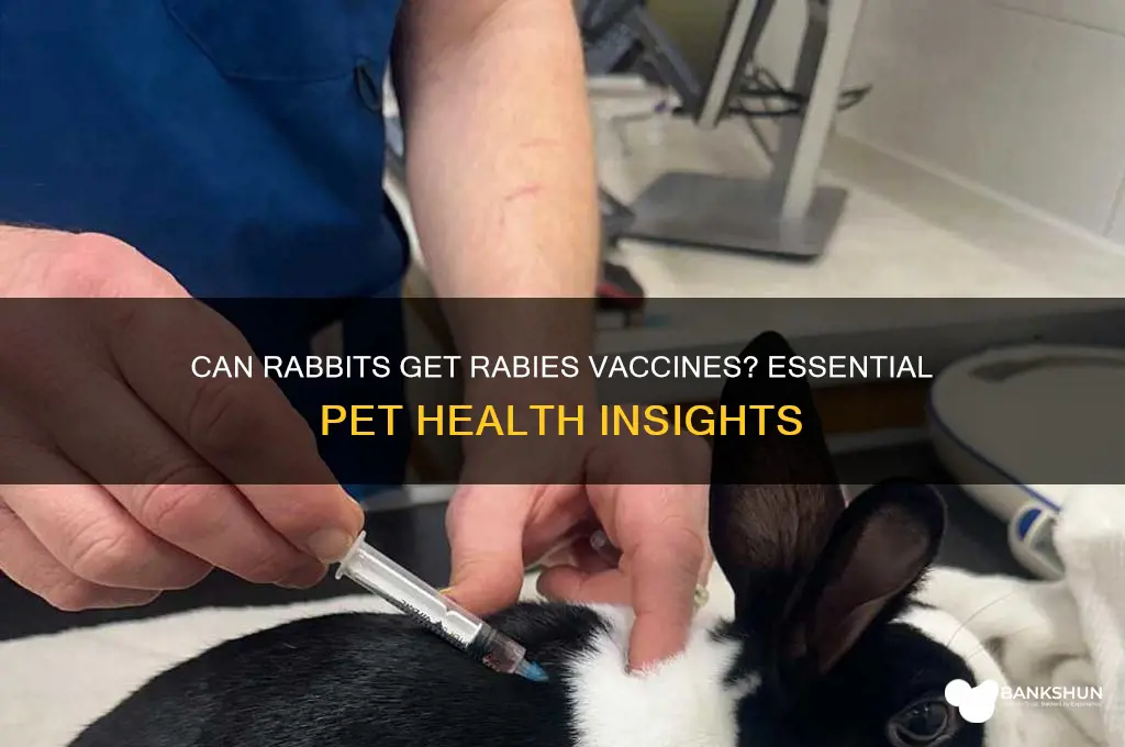 is there a rabies vaccine for rabbits