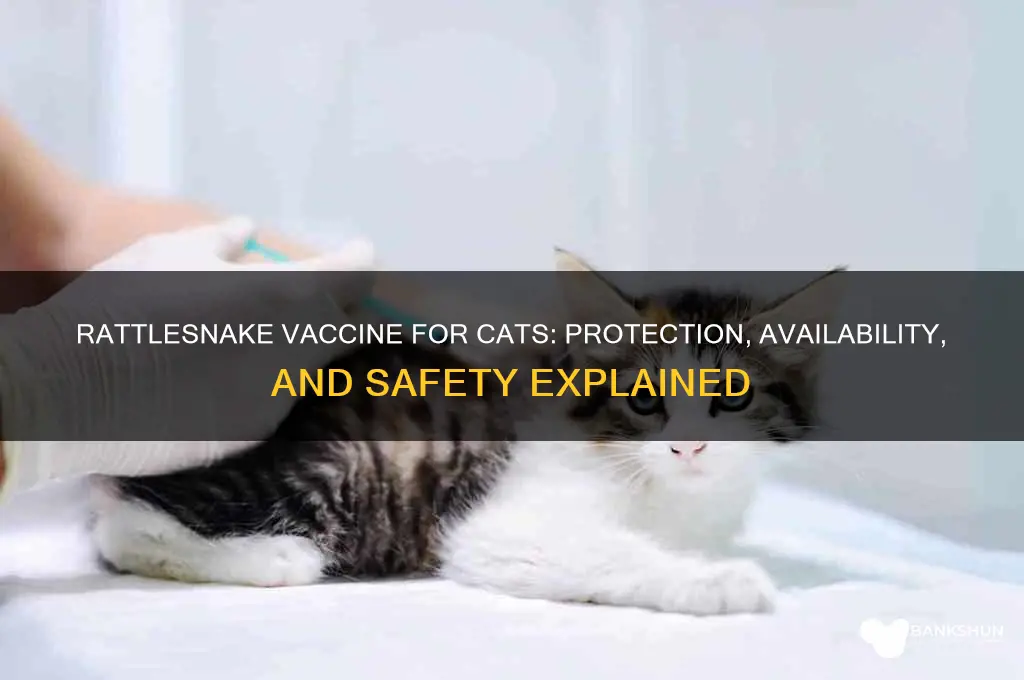 is there a rattlesnake vaccine for cats
