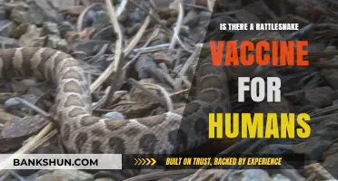 Rattlesnake Vaccine for Humans: Fact or Fiction? Exploring the Possibility