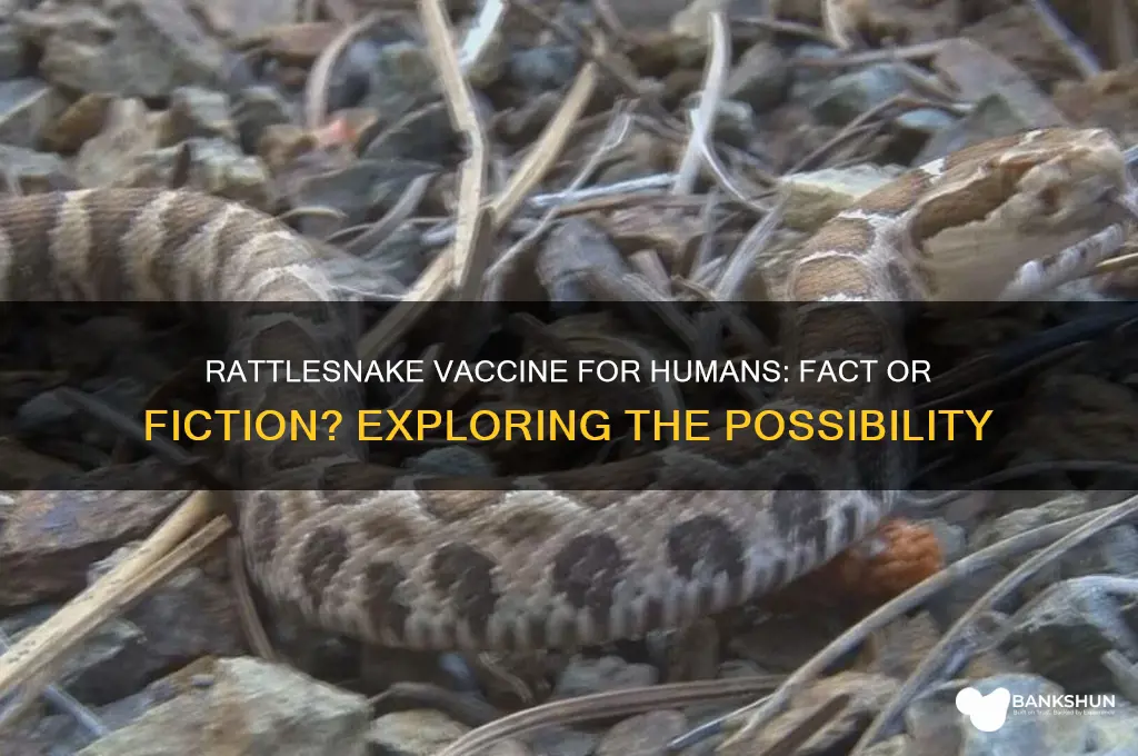 is there a rattlesnake vaccine for humans