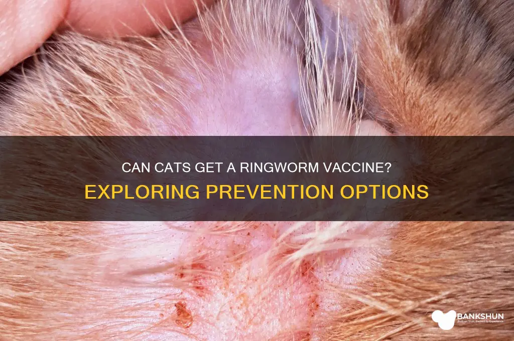 is there a ringworm vaccine for cats