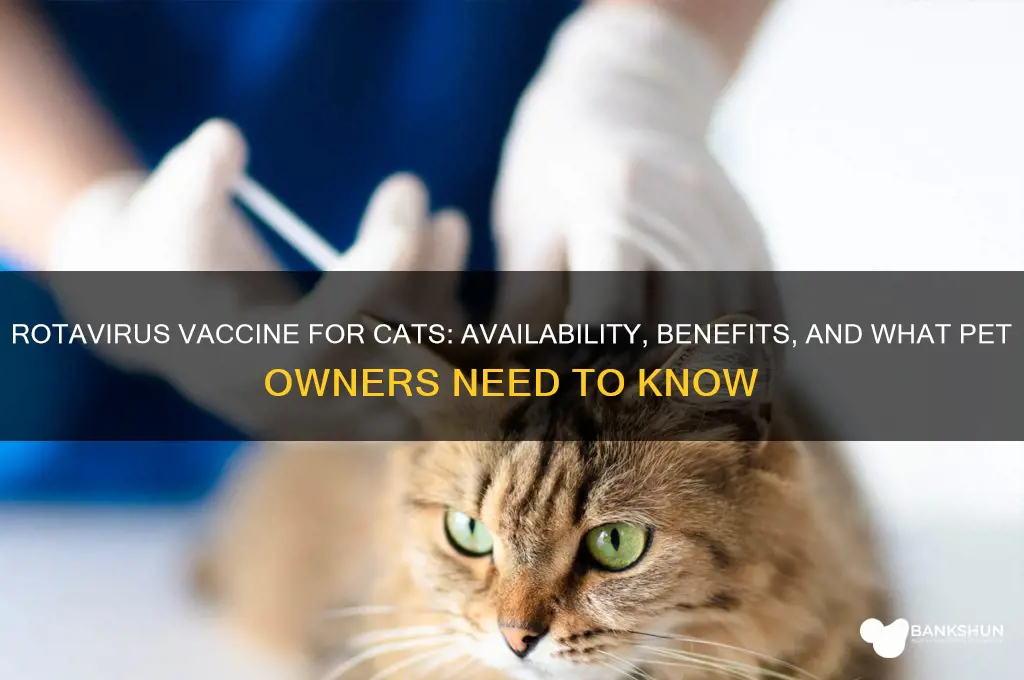 is there a rotavirus vaccine for cats