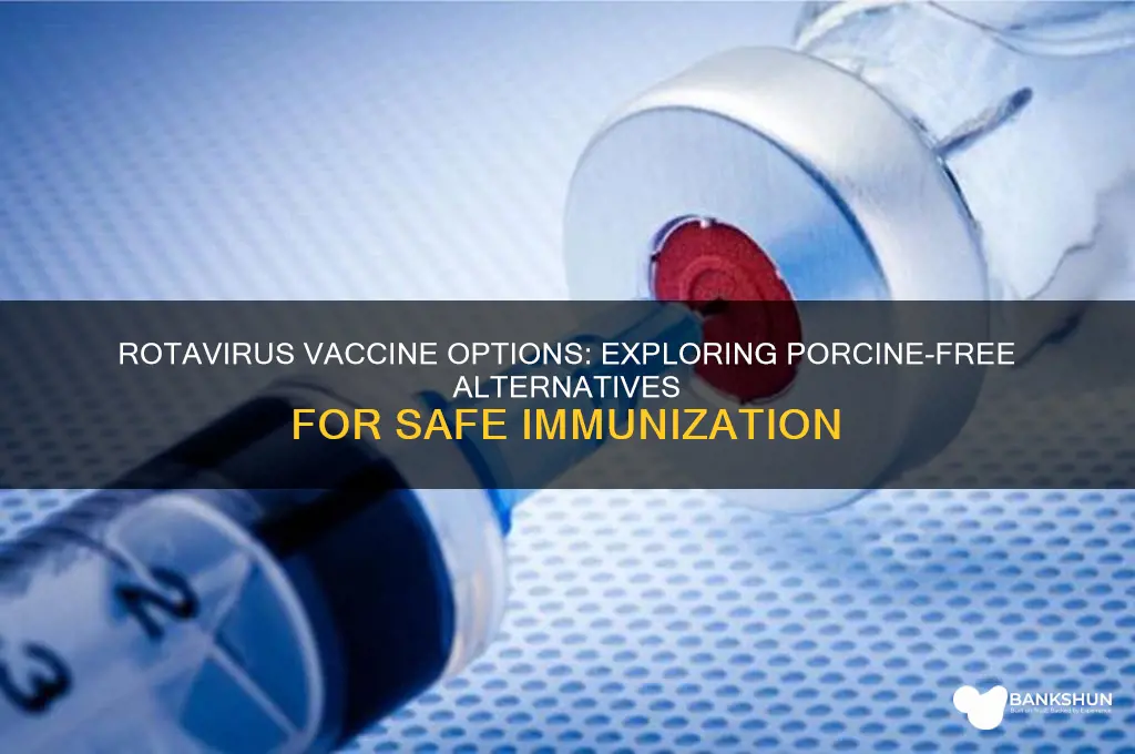 is there a rotavirus vaccine without porceine