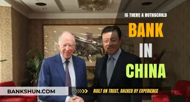 Does China Host a Rothschild Bank? Unraveling the Financial Mystery