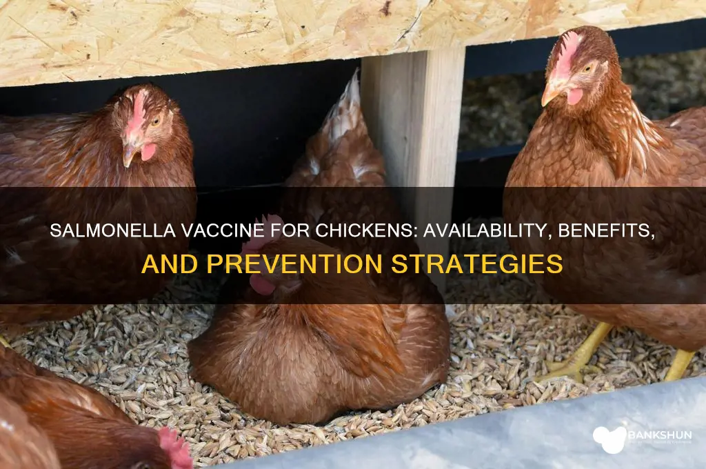 is there a salmonella vaccine for chickens