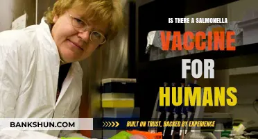 Salmonella Vaccine for Humans: Current Status and Future Prospects