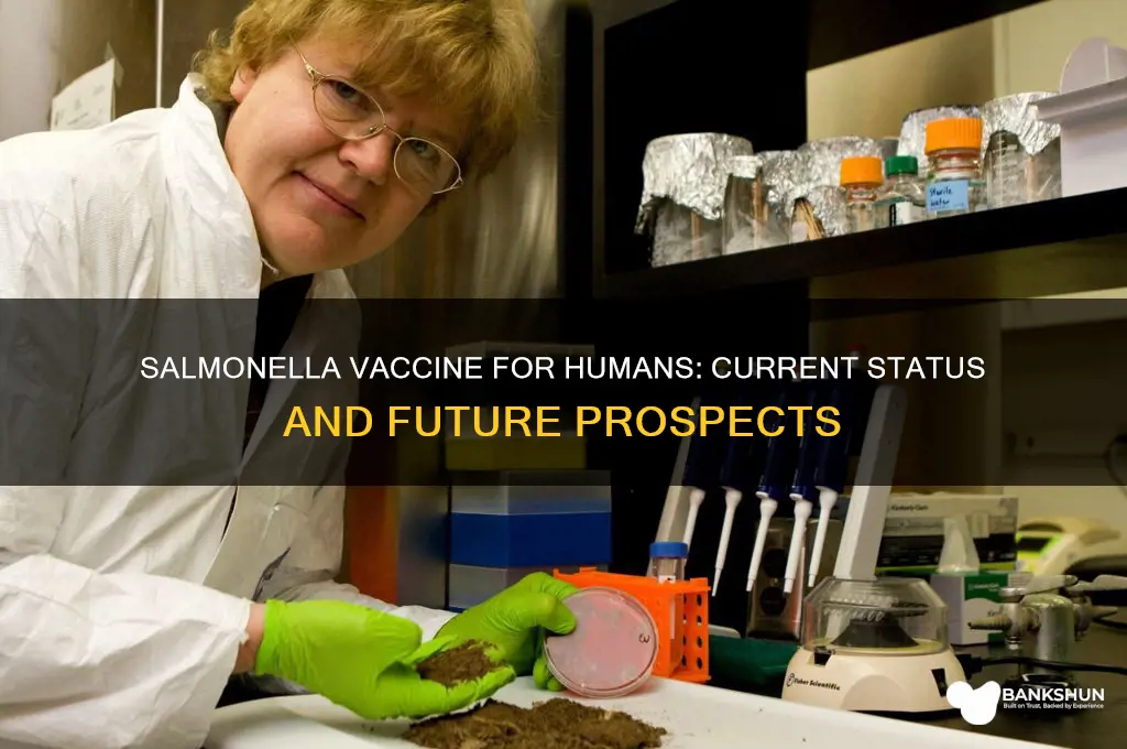 is there a salmonella vaccine for humans