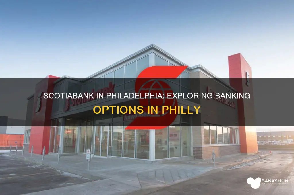 is there a scotia bank in philly