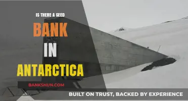 Antarctica's Seed Bank: Preserving Global Biodiversity in the Frozen Wilderness