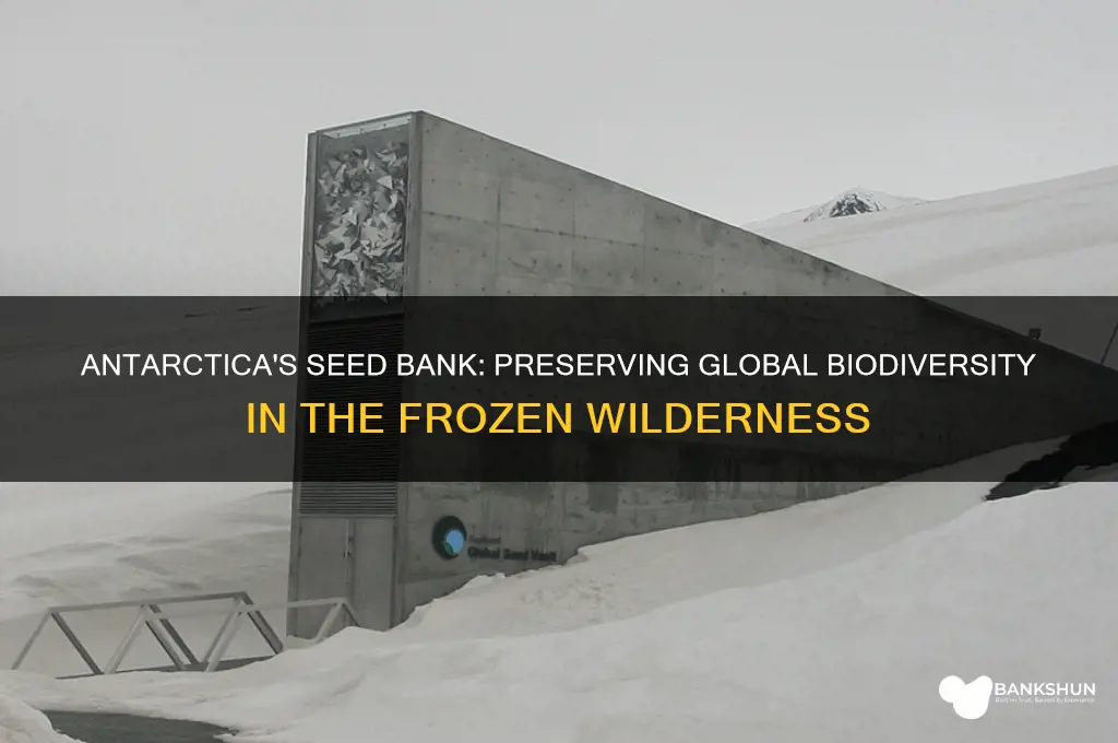 is there a seed bank in antarctica