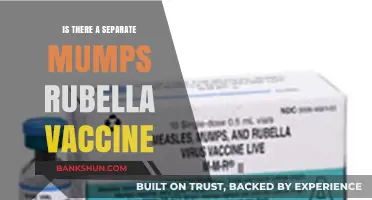 Mumps Rubella Vaccine: Separate or Combined? What You Need to Know