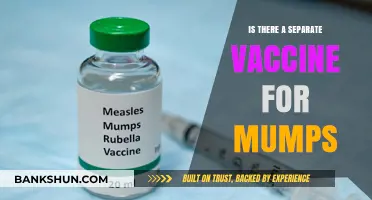 Mumps Vaccine: Separate or Combined? Understanding Your Protection Options