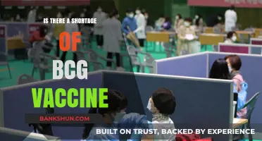 BCG Vaccine Shortage: Causes, Impact, and Global Supply Challenges