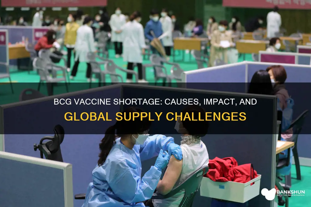 is there a shortage of bcg vaccine
