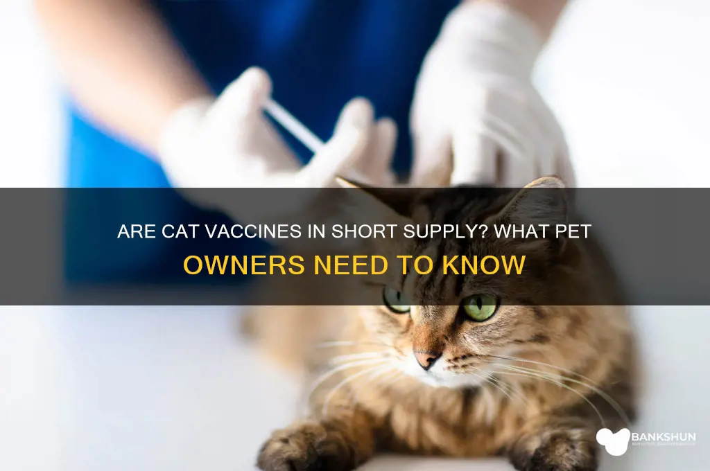 is there a shortage of cat vaccines