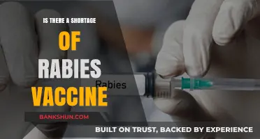 Rabies Vaccine Shortage: Causes, Impact, and Global Health Concerns