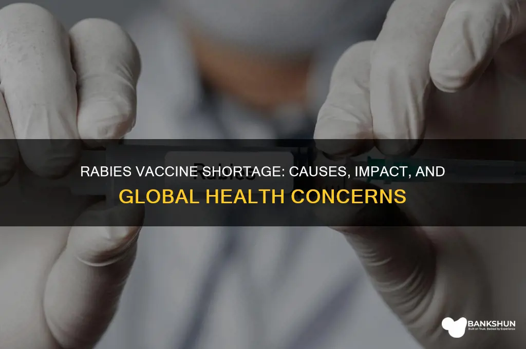 is there a shortage of rabies vaccine