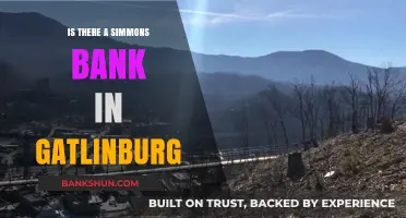 Simmons Bank in Gatlinburg: Exploring Banking Options in the Smoky Mountains