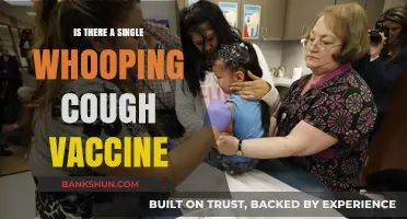 Whooping Cough Vaccination: Understanding the Single Dose Protection Myth