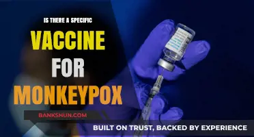 Monkeypox Vaccine: Current Options and Future Developments Explained