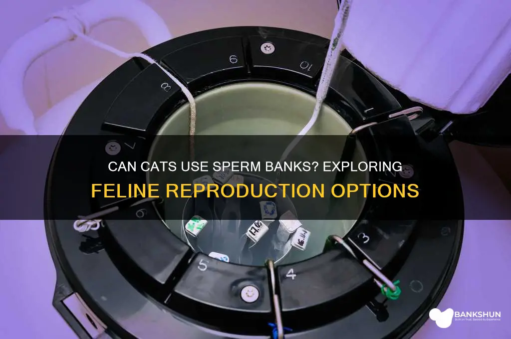 is there a sperm bank for cats