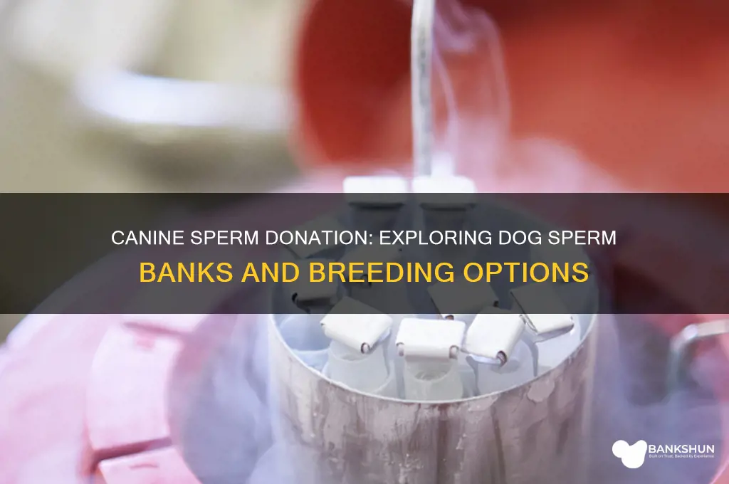 is there a sperm bank for dogs
