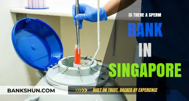 Exploring Sperm Donation Options: Is There a Sperm Bank in Singapore?