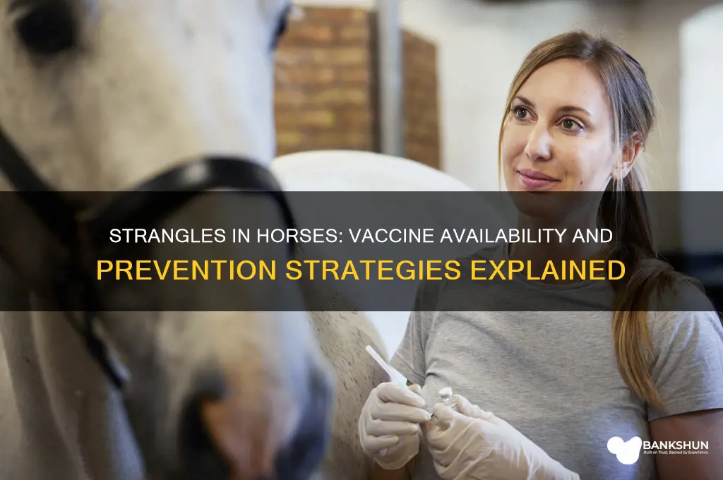 is there a strangles vaccine for horses
