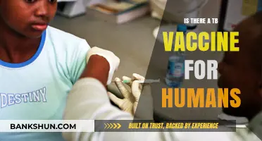Is There a TB Vaccine for Humans? Exploring Prevention Options