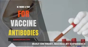 Testing Vaccine Antibodies: Understanding Immunity and Protection Levels