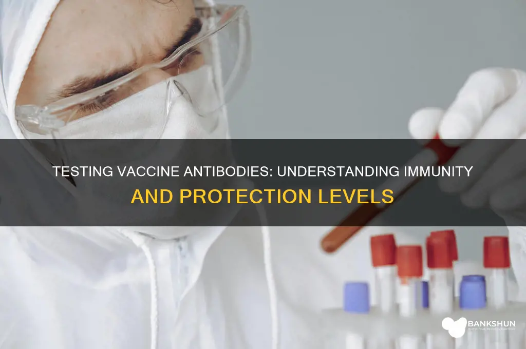 is there a test for vaccine antibodies
