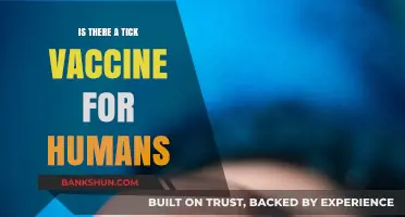Tick-Borne Illness Prevention: Exploring Human Vaccine Options and Alternatives