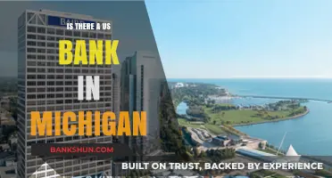Exploring US Bank Presence: Are There Branches in Michigan?