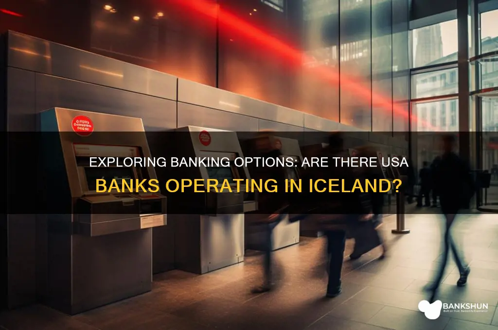 is there a usa bank in iceland