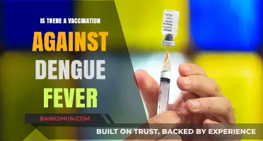 Dengue Fever Vaccination: Current Options and Future Prospects Explained