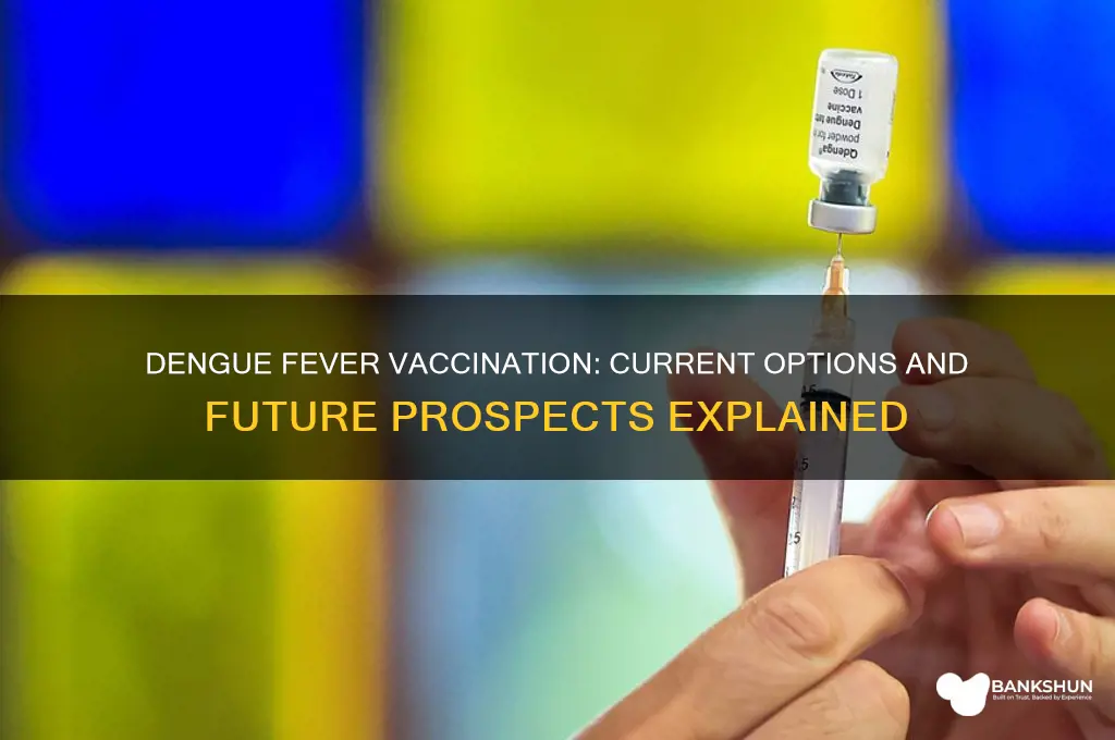 is there a vaccination against dengue fever