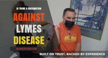 Lyme Disease Vaccination: Current Options and Future Possibilities Explored