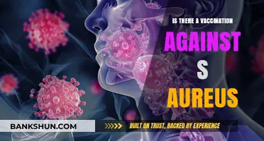 Exploring Vaccination Options Against S. Aureus: Current Research and Developments