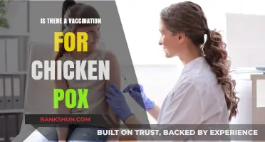 Chickenpox Vaccination: Availability, Effectiveness, and Importance Explained