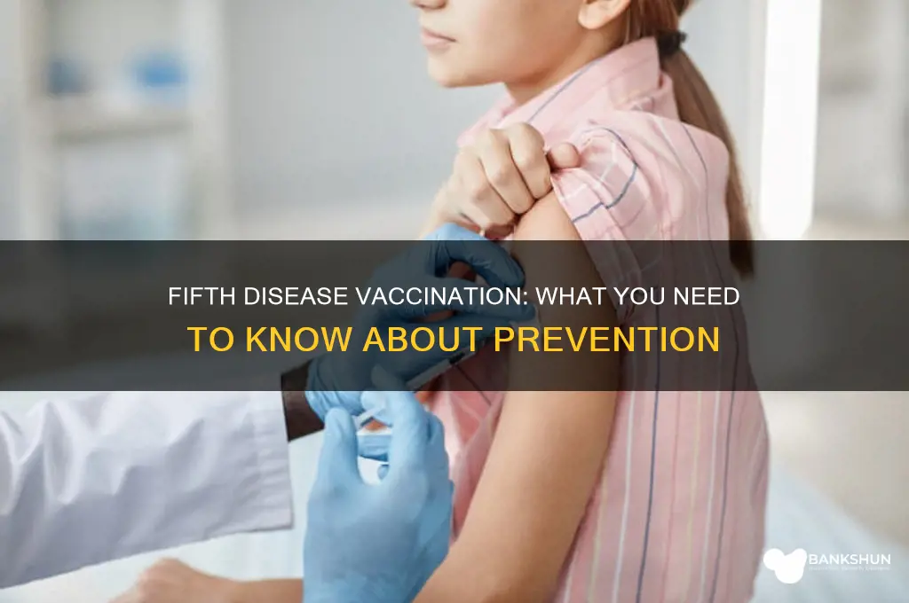 is there a vaccination for fitth disease