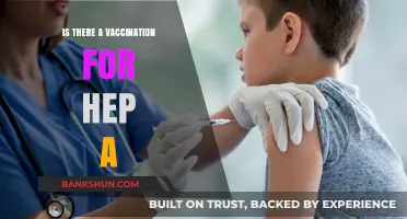 Hepatitis A Vaccination: Availability, Importance, and Protection Explained