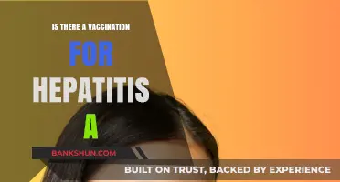 Hepatitis A Vaccination: Availability, Importance, and Protection Explained