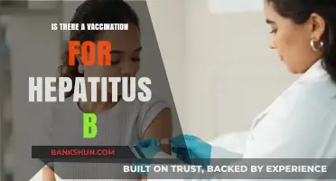 Hepatitis B Vaccination: Availability, Effectiveness, and Importance Explained
