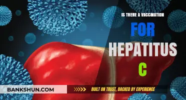 Hepatitis C Vaccination: Current Status and Prevention Strategies Explained